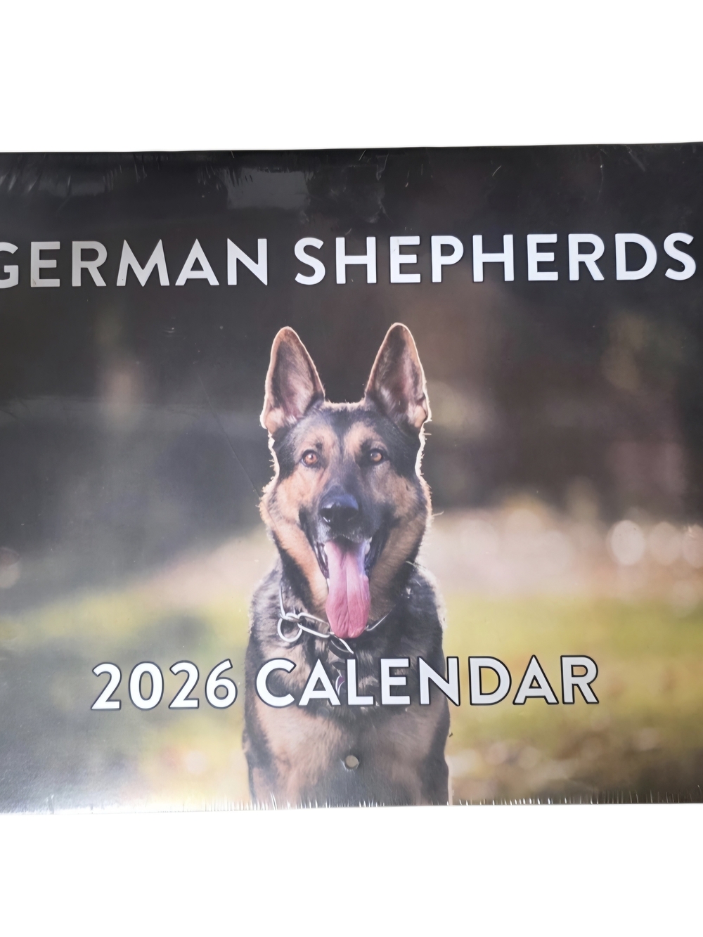 German Shepherds 2026 Wall Calendar - Black and Tan